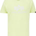 Alpha Industries Men's Basic T-Shirt, Arctic Lime, XXL