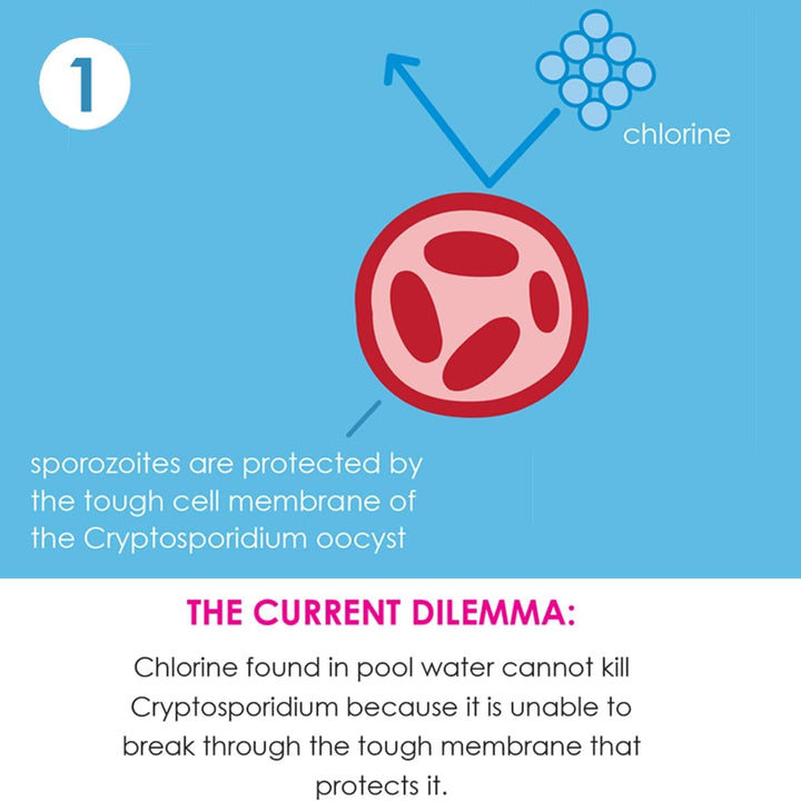 Splash About Happy Nappy Duo Wiederverwendbare Schwimmwindel (Variations Inside)