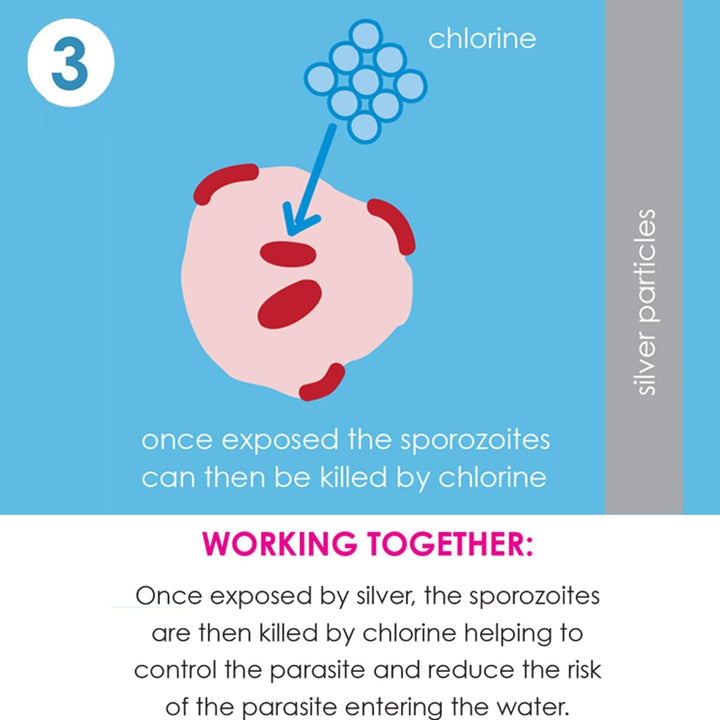 Splash About Happy Nappy Duo Wiederverwendbare Schwimmwindel (Variations Inside)