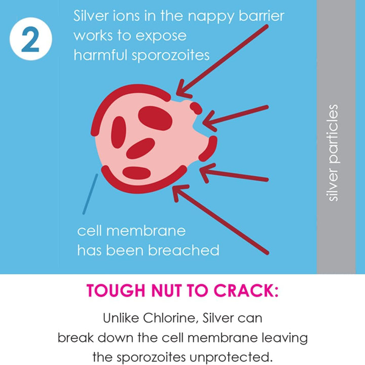 Splash About Happy Nappy Duo Wiederverwendbare Schwimmwindel (Variations Inside)