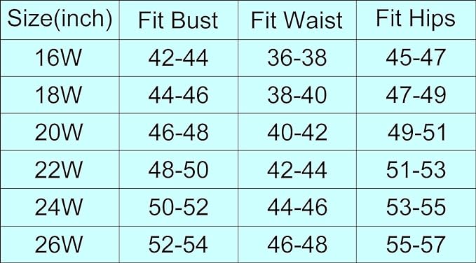 Hanna Nikole Women Plus Size High Waisted Swimsuits Tummy Control Swimdress 18W Black