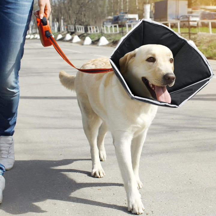 Dog Cone Collar for After Surgery, Adjustable Recovery Collars for Dogs, Soft Comfy Cone Elizabethan Collar for Large Medium Dogs Wound Healing, XL