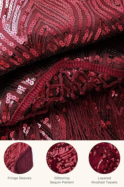 BABEYOND 1920s Flapper Dress Fringed Sequin Dress Roaring 20s Fancy Dress Gatsby Costume Dress V Neck Vintage Beaded Evening Dress WineRed, L