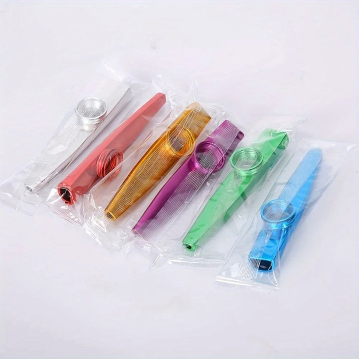 Aluminum Alloy Kazoo with Storage Box – Beginner Musical Instrument